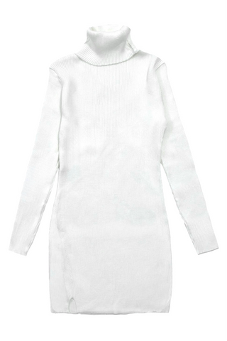 Turtle Neck Rib Knit Mini Dress
