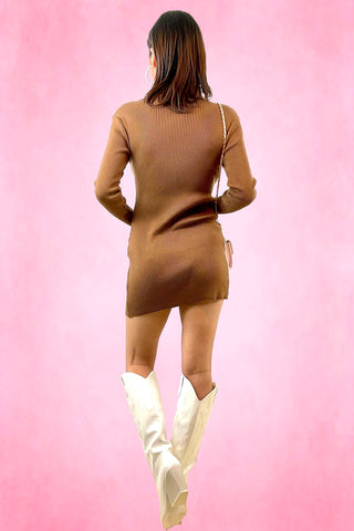 Turtle Neck Rib Knit Mini Dress