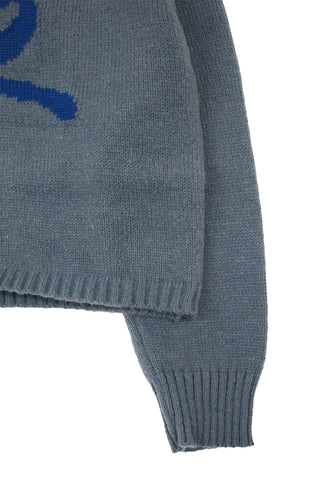 Ribbon knitted Crop Sweater