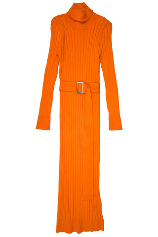 Midi Turtleneck Dress