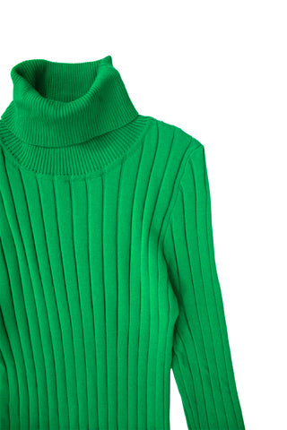 Midi Turtleneck Dress