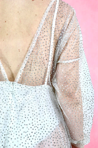 Sparkly Sheer maxi Dress