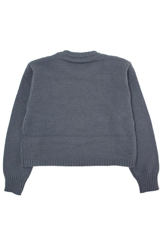 Ribbon knitted Crop Sweater