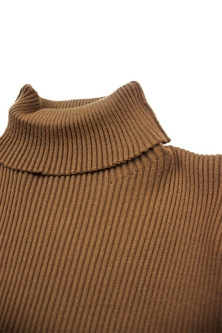 Turtle Neck Rib Knit Mini Dress