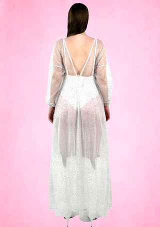 Sparkly Sheer maxi Dress